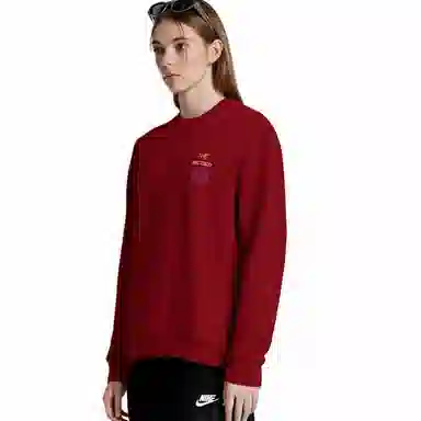 Arcteryx Emblem logo