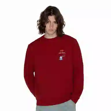 Arcteryx Emblem logo