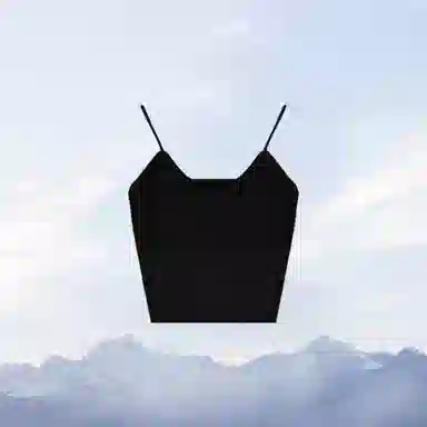 TLXT