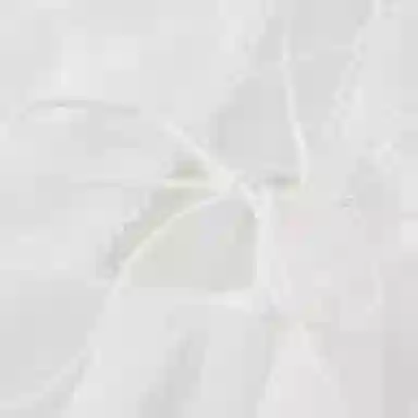 TLXT