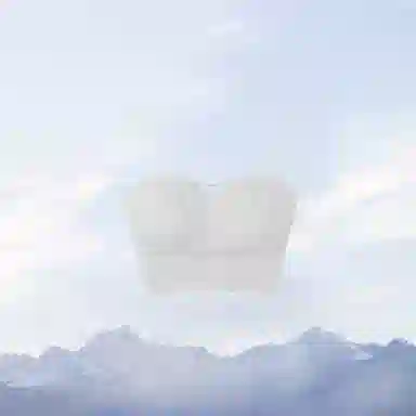 TLXT