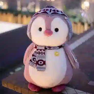 CANEXT 20cm27cm