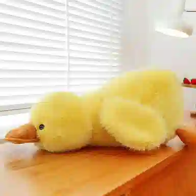 CANEXT 30cm50cm65cm100cm