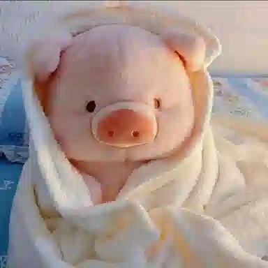 CANEXT 30cm 35cm45cm55cm