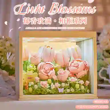 CANEXT 3d 430pcs CANEXT-GD-YMZL