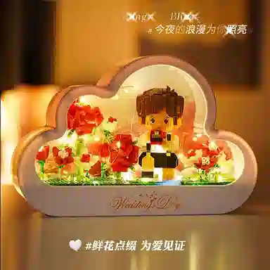 CANEXT 1149pcs CANEXT-GD-DDJM