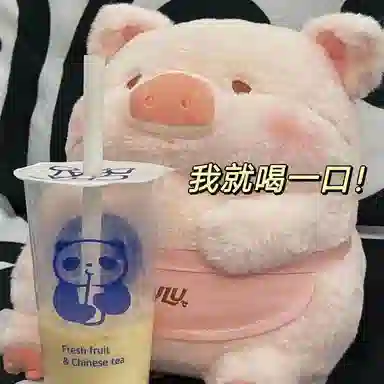 CANEXT 30cm 35cm45cm55cm