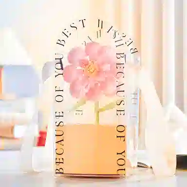 CANEXT diy 0-300pcs CANEXT-GD-JMH