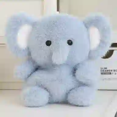CANEXT 13cm