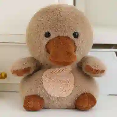 CANEXT 13cm