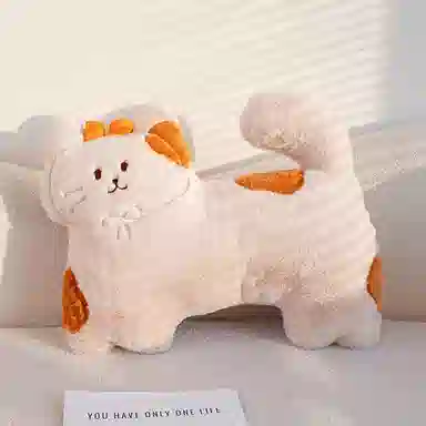 45cm