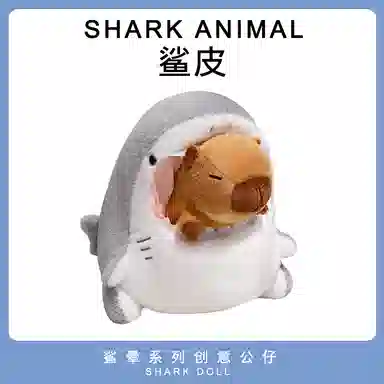 30cm40cm