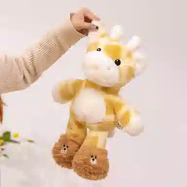50cm70cm