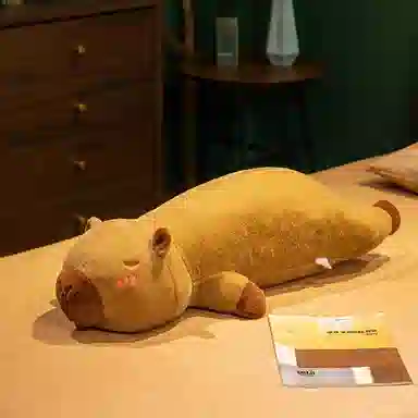 60cm80cm