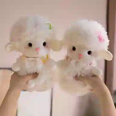 25cm38cm45cm