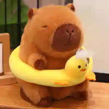 22cm