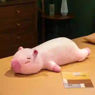 60cm80cm