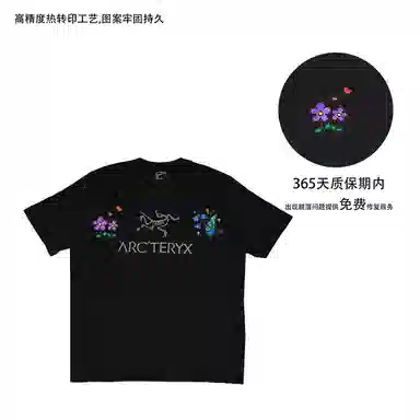 Arcteryx ARC'WORD LOGO