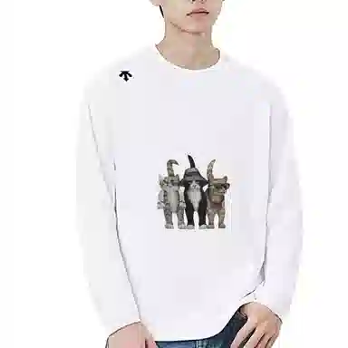 DESCENTE TOUGH logoT