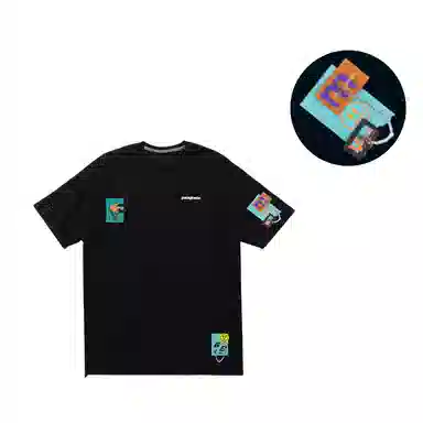 patagonia ResponsibiliT