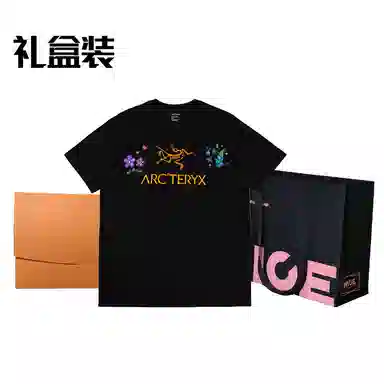 Arcteryx ARC'WORD LOGO