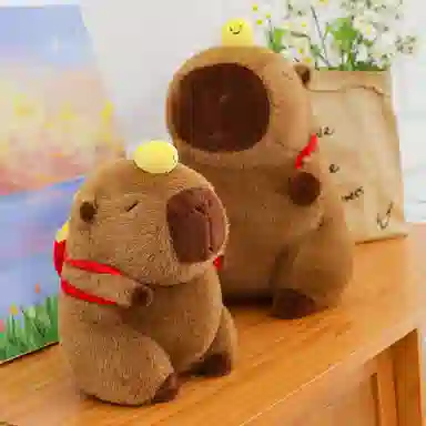 25cm35cm45cm