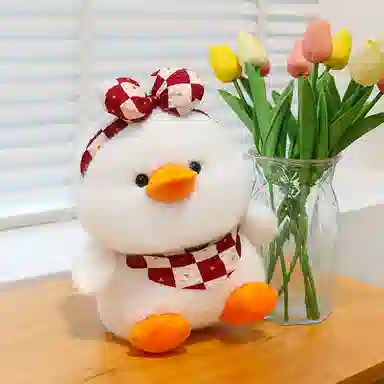 25cm