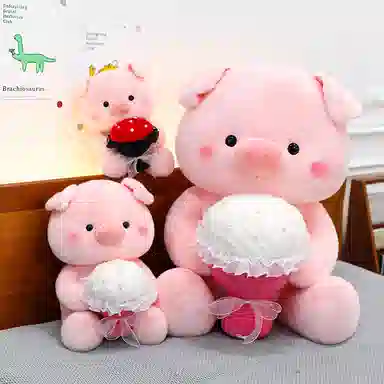 25cm35cm45cm55cm