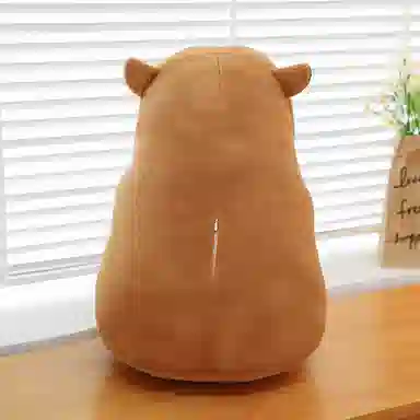 30cm40cm50cm