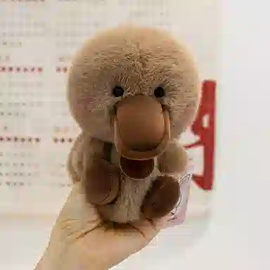16cm