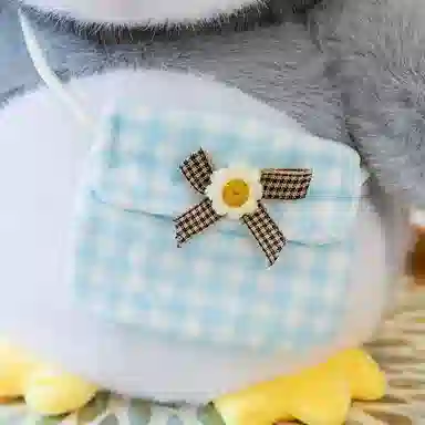 25cm35cm45cm