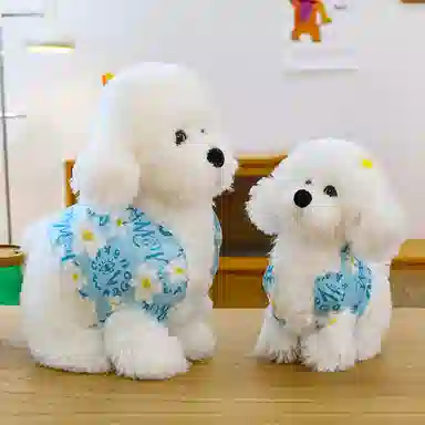 30cm40cm
