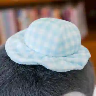 25cm35cm45cm