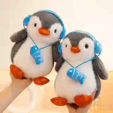 25cm35cm