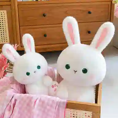 30cm42cm