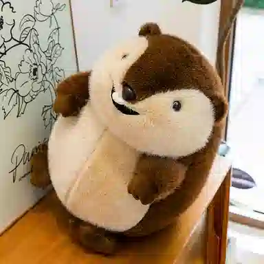 48cm60cm