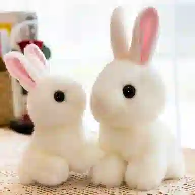 20cm28cm