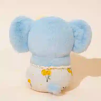 22cm30cm