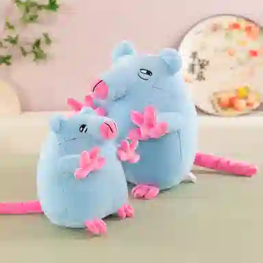 25cm35cm