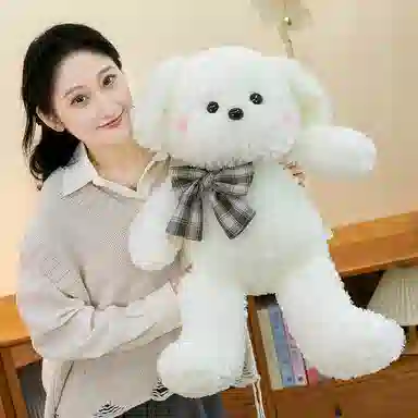 40cm50cm