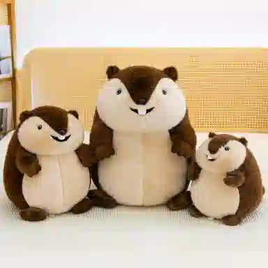 48cm60cm