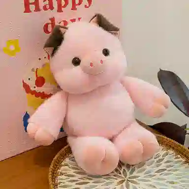 30cm60cm