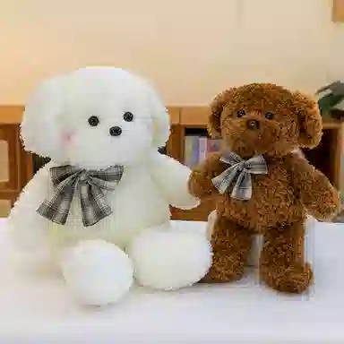 40cm50cm