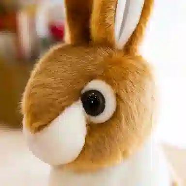 20cm28cm