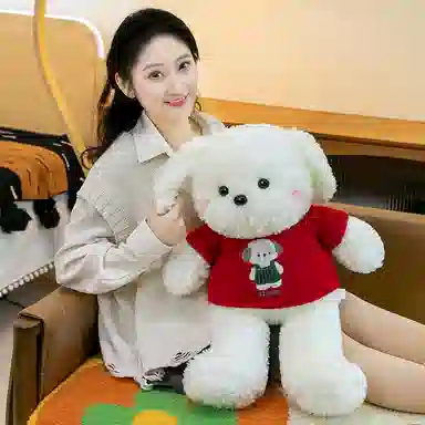 40cm50cm