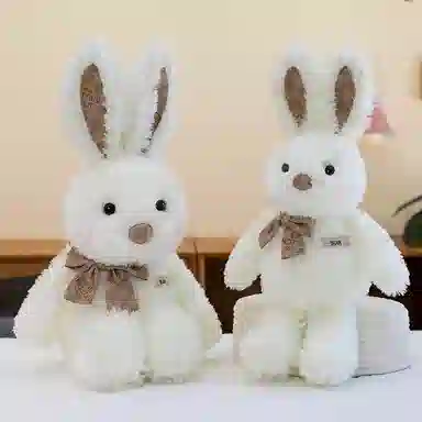 47cm63cm