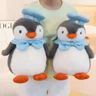 25cm35cm