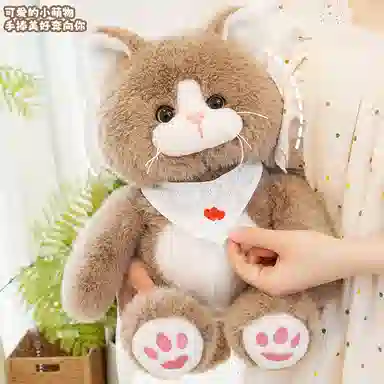 25cm35cm