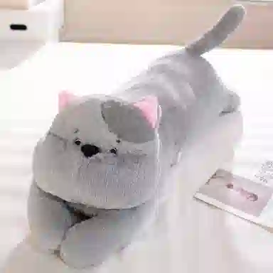 85cm