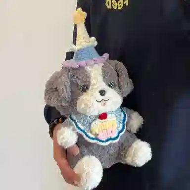 23cm30cm